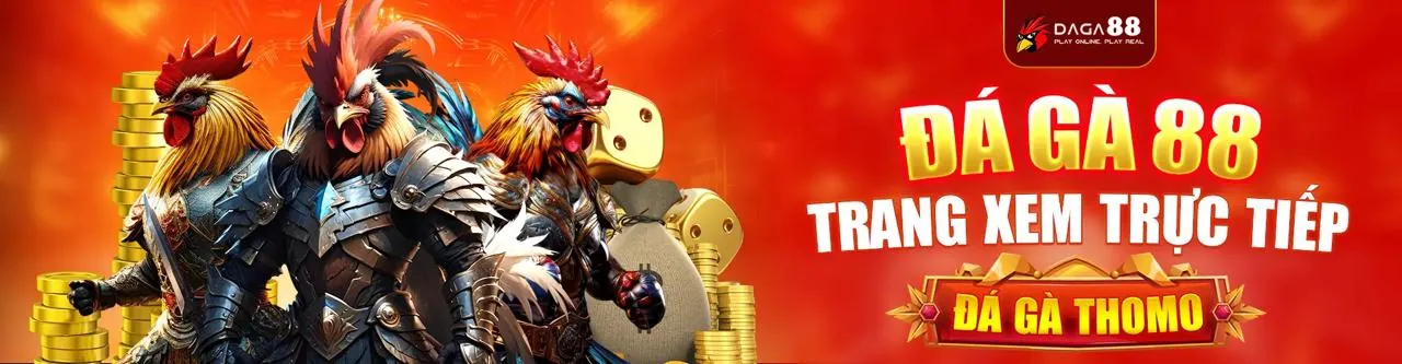 Sân Đá Gà Trực Tuyến n666