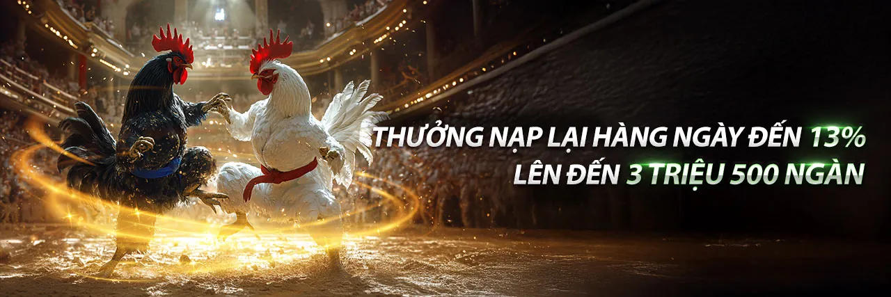 Nền tảng cá cược n666 an toàn và ưu đãi hấp dẫn
